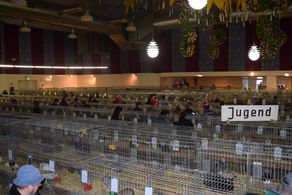 csm_DSC_0691_4cdd489b6b 22 Große Vogtlandschau Ausstellungshalle voller Kaninchen